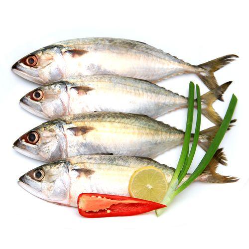 Best seafood in Noida