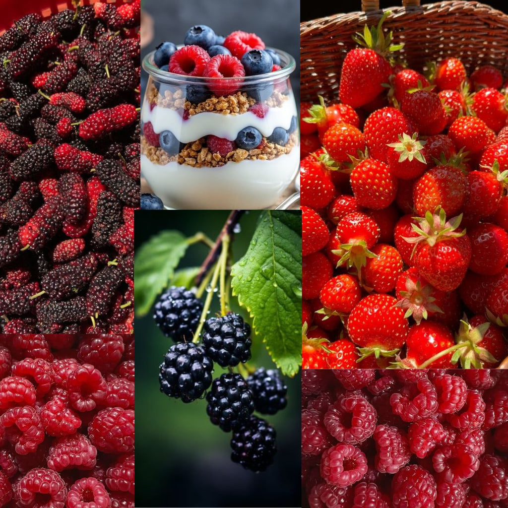All about Berries- how, when and the right way to eat them