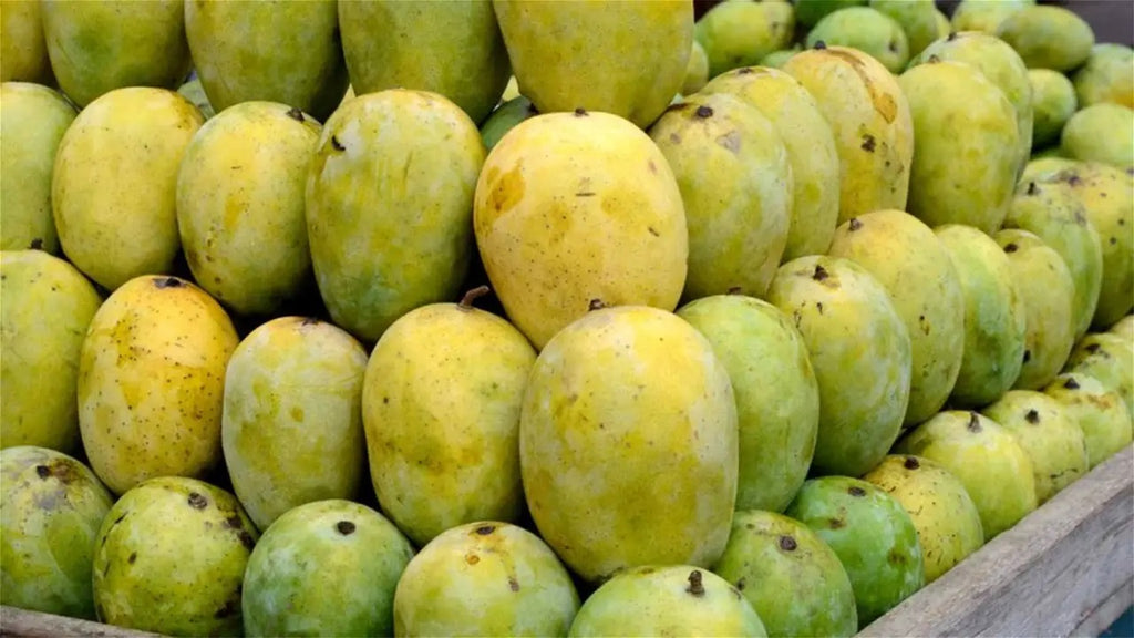 Which Mango is Perfect for Your Child? Should We Eat Mango Every Day?
