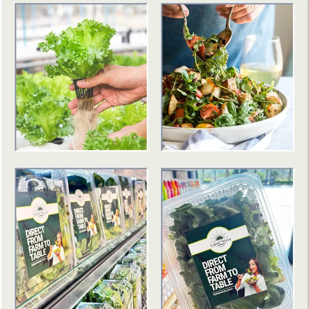 Hydroponically Grown Salad Leaves- Now at Debon