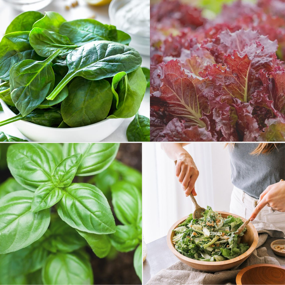 Explore Debon’s exotic salad bar