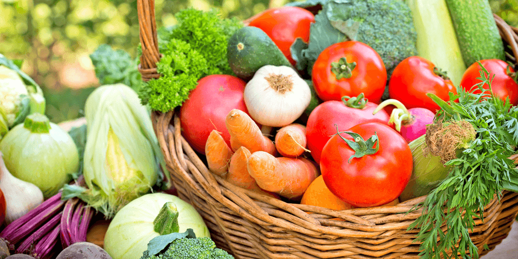 Which food is best in summer?