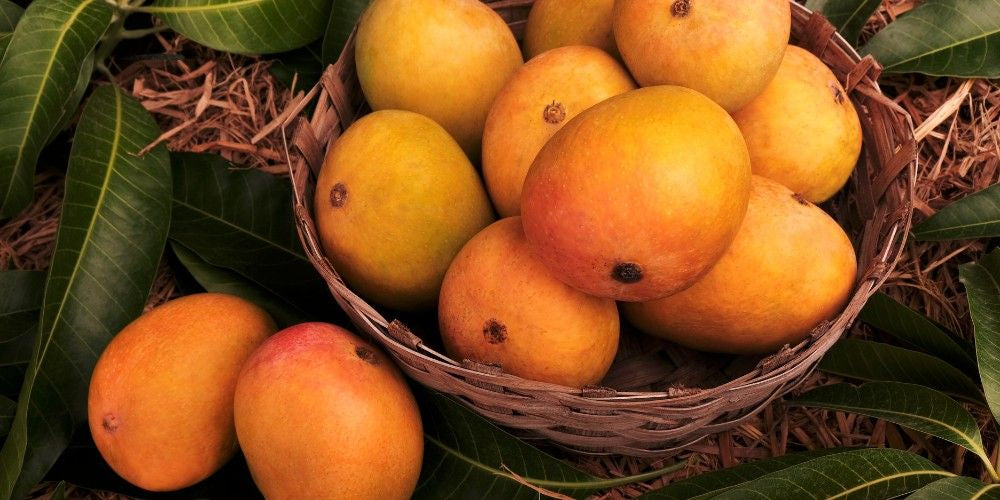 Buy Fresh Mangoes in Noida – Prices You Can’t Miss!