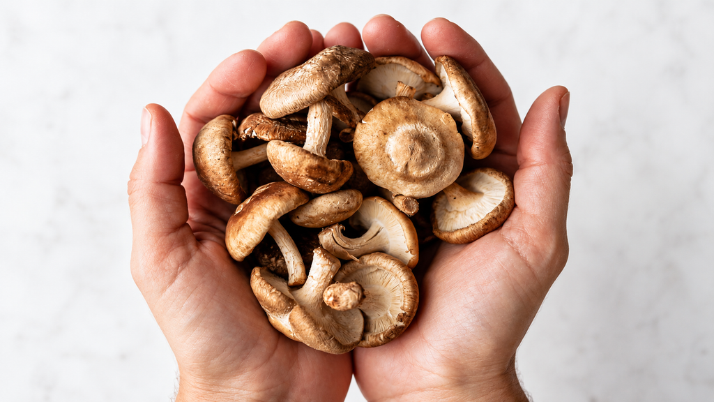 Umami Foods: What Is Umami and Why Are Food Lovers Obsessed with It?