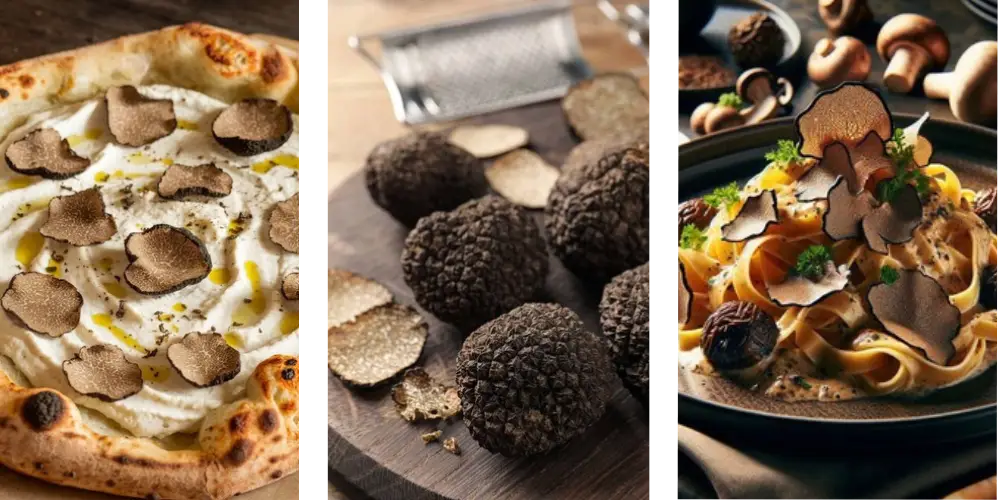 Experience the Luxury of Truffle