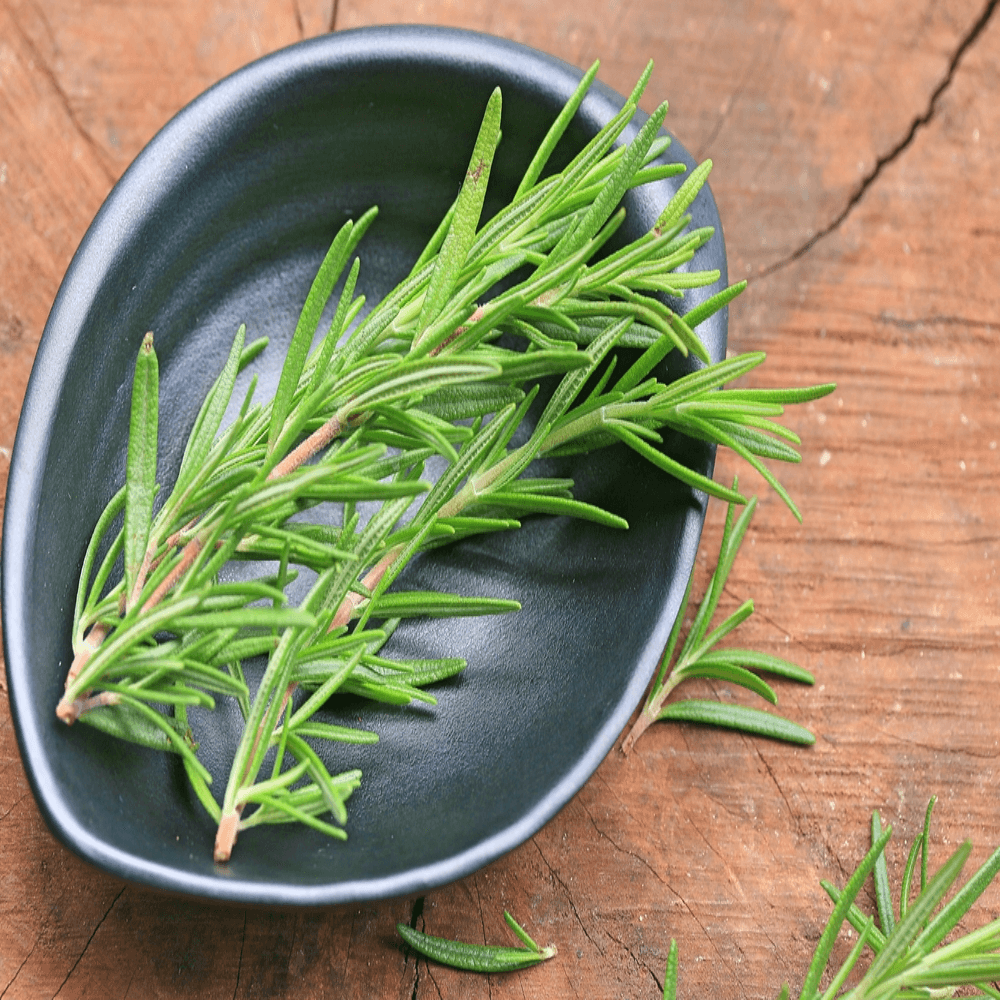 Rosemary Leaves In Urdu