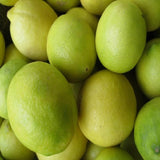 Fresh Lime - Debon