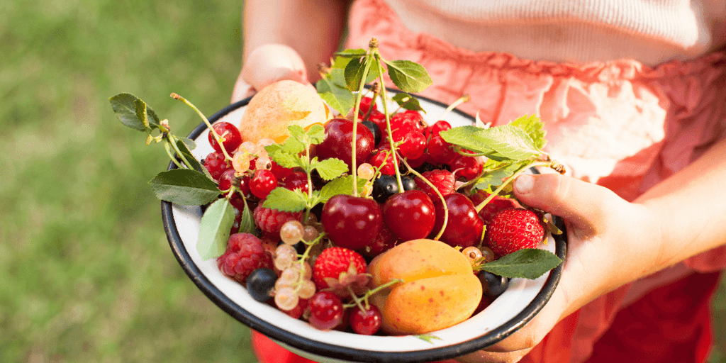 Get maximum Benefits from water Fresh Fruits in Summer in Greater Noida Debon
