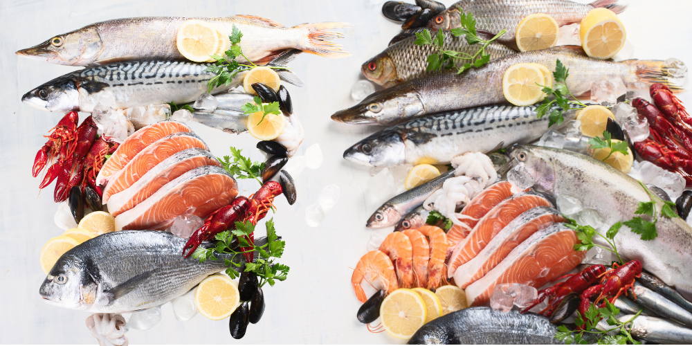Fresh Fish, Fresh Flavor: Order Delivery Today in Noida by Debon