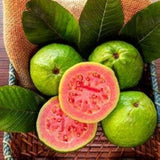 Red Guava