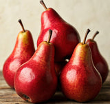 William Pears