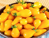 Yellow Cherry Tomato