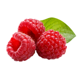 Fresh Raspberry