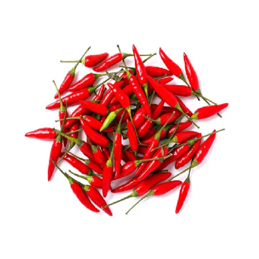 Red Chelli RED CHILLI SMALL – Debon