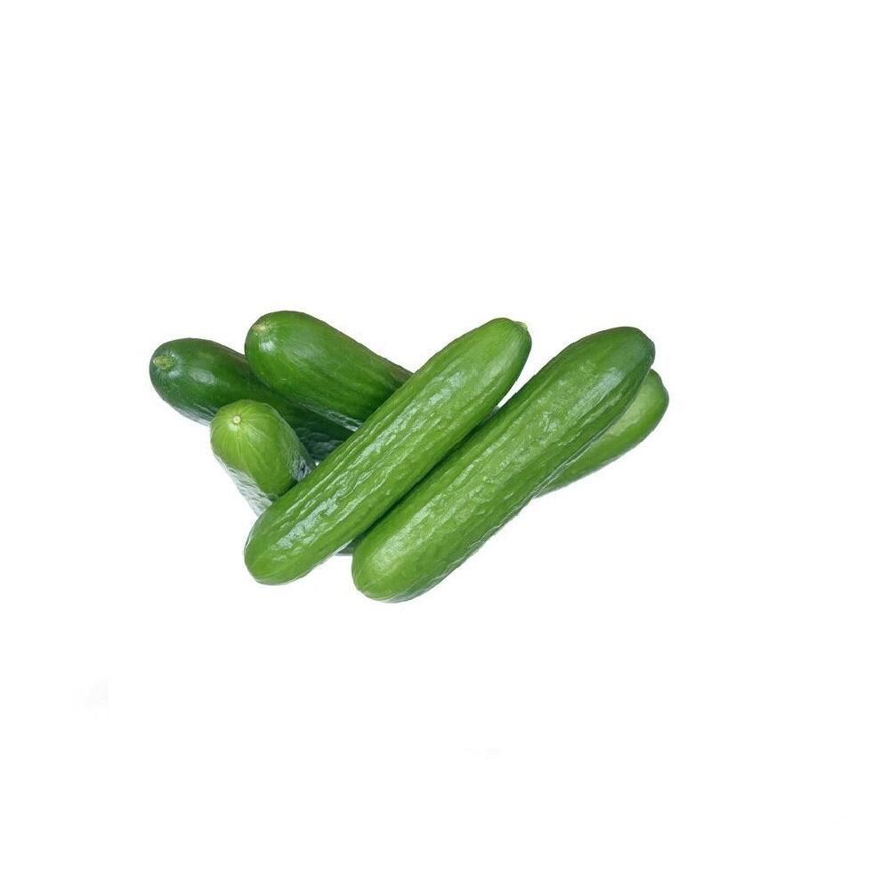 Seedless Cucumber - Debon