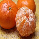 Fresh Orange Fruit 