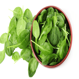 Baby Spinach - debon
