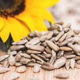 Dry Sunflower Seeds